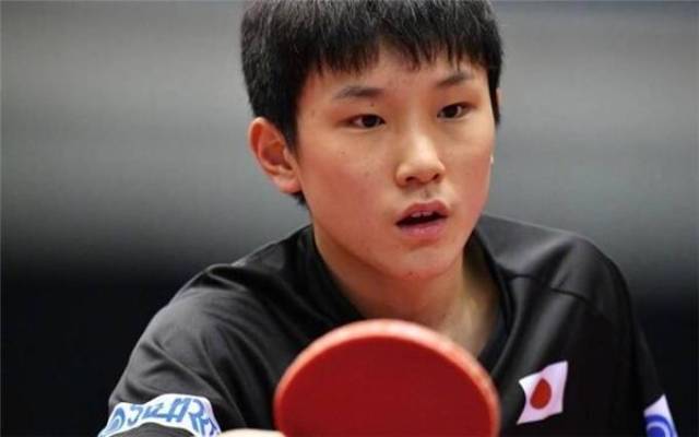 他们也期待 他们也期待