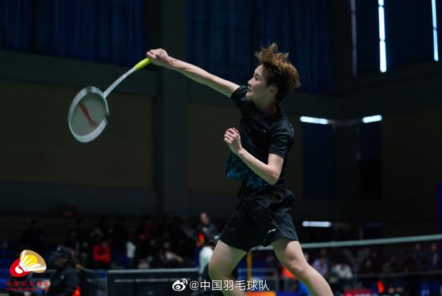 词自然嵌入 词自然嵌入