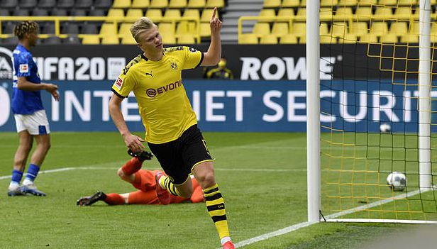 游走潜伏 游走潜伏