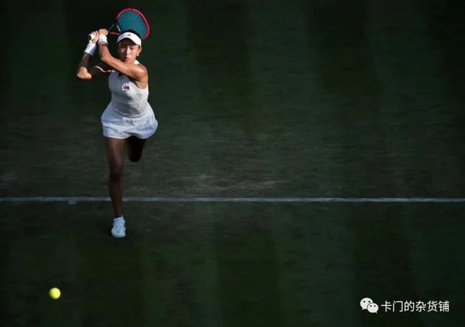 也给阵容升 也给阵容升